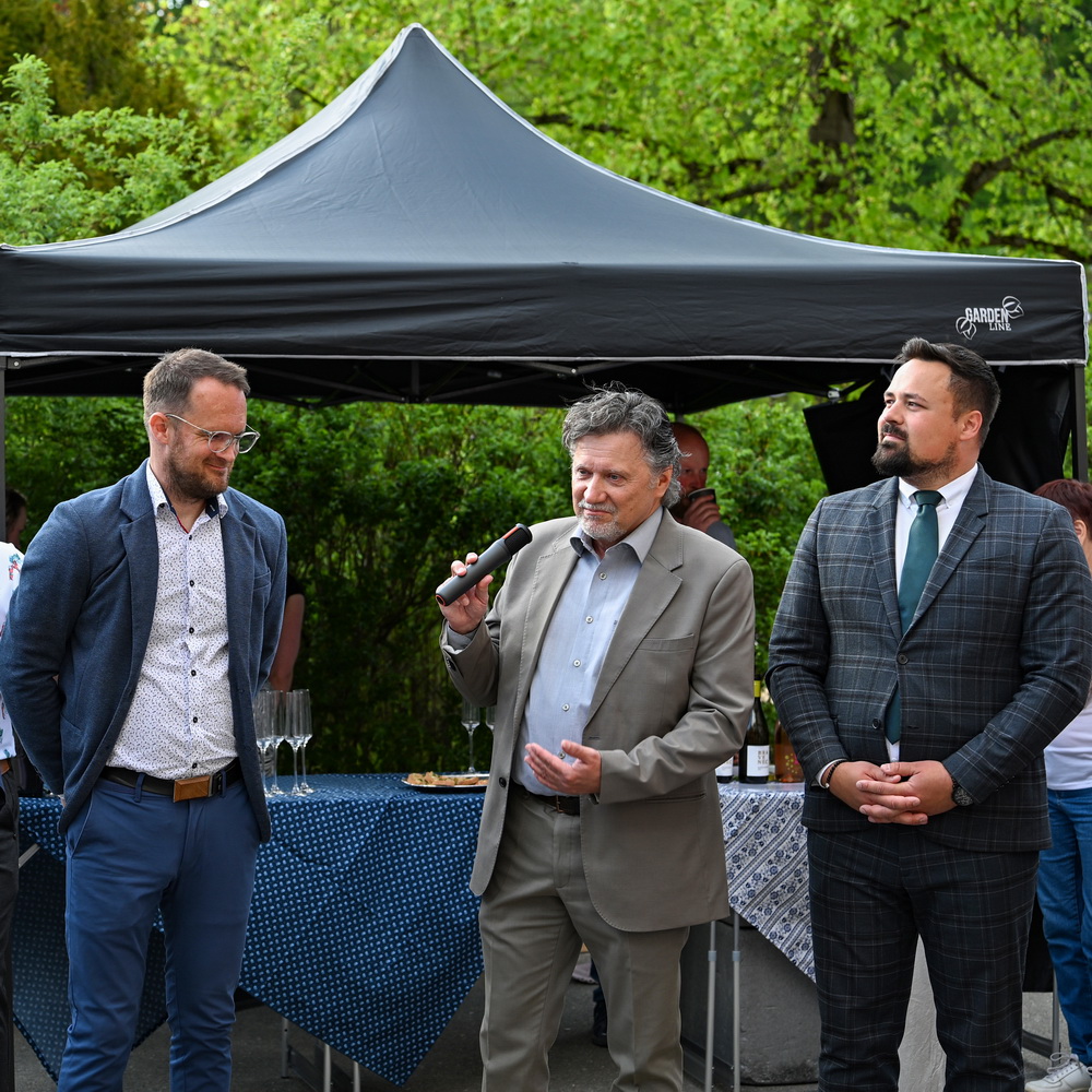 Dění